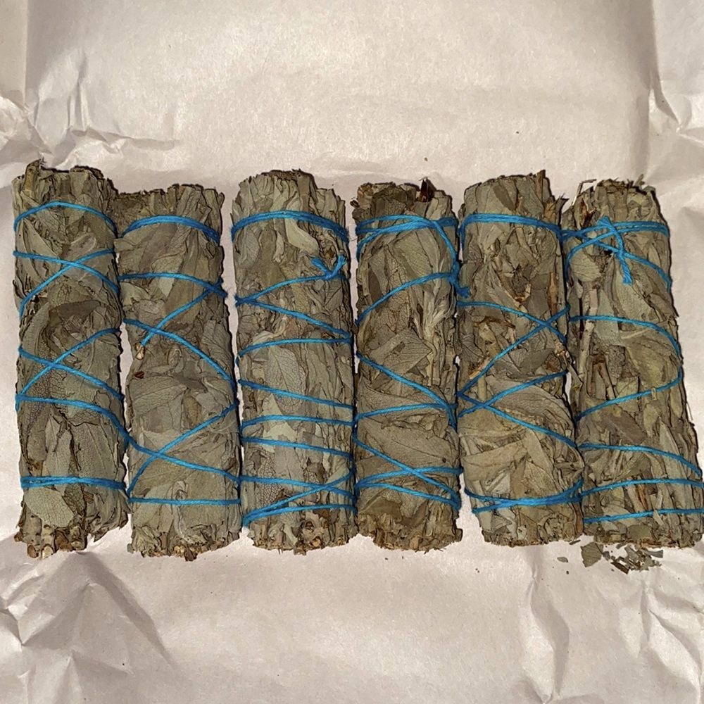 🌟RESTOCKED🌟🆕Homemade White Sage Smudge Stick- 4 inches long